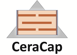 CeraCap Technology & Innovation Consulting – Dr. Guenter Engel